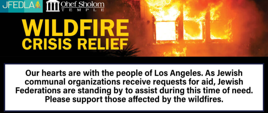 wildfire crisis relief