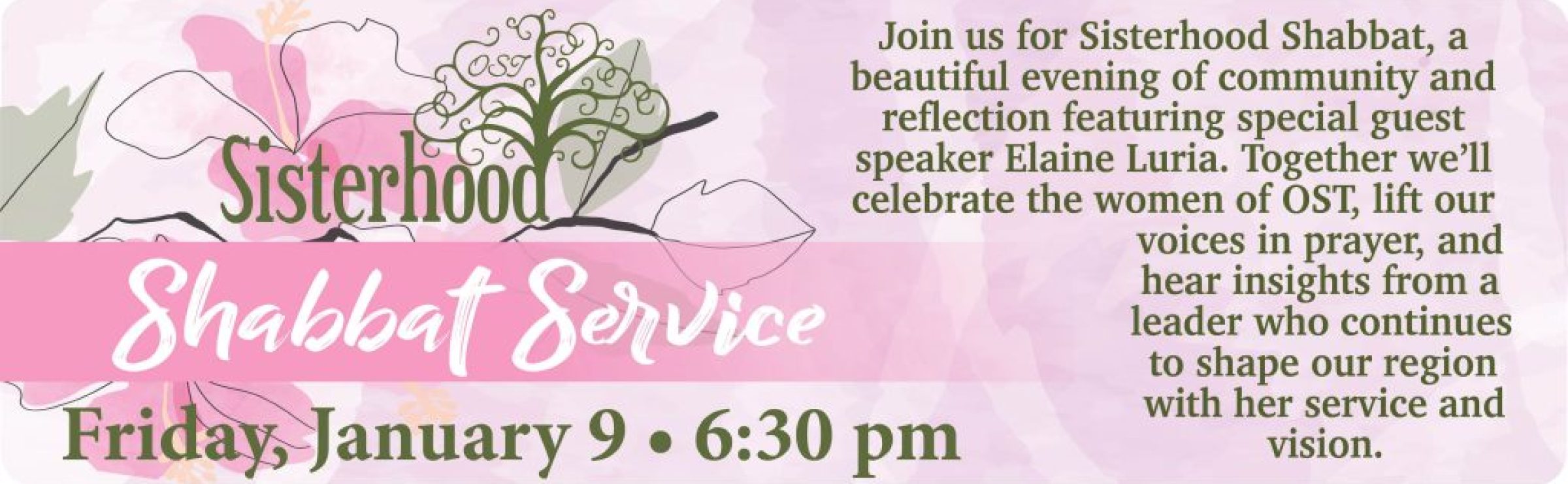 sisterhood shabbat 26